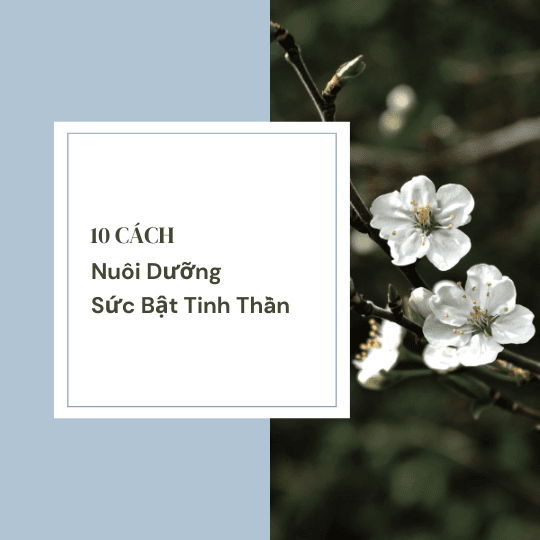 10 Cách Nuôi Dưỡng Sức Bật Tinh Thần
