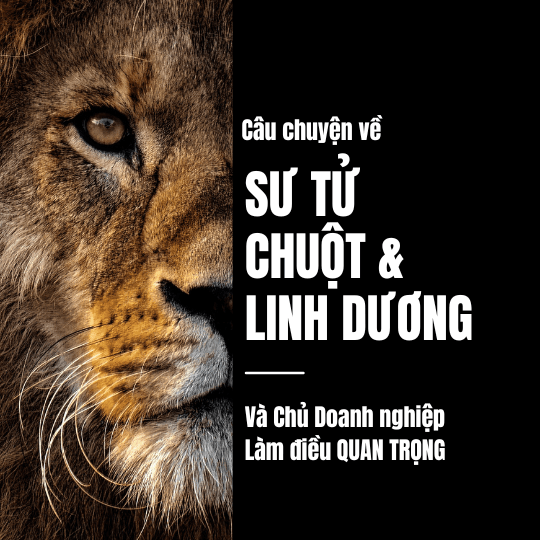 ? ? ? Câu Chuyện Sư Tử, Chuột và Linh Dương